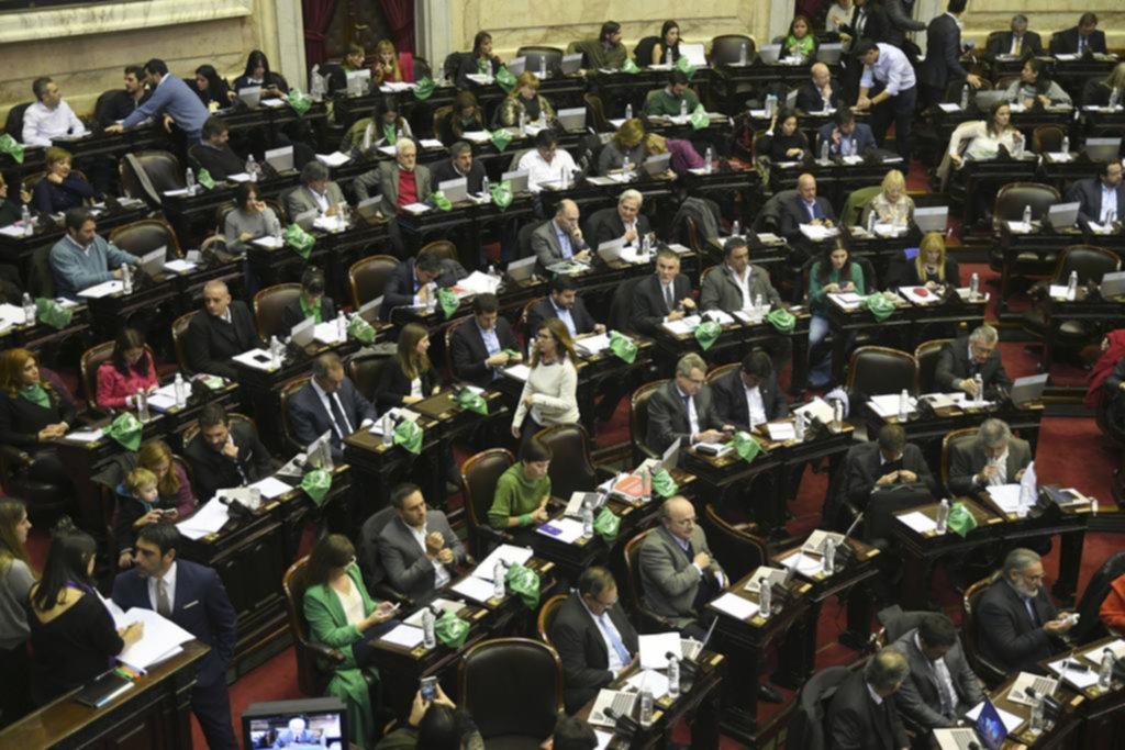 Diputados se prepara para votar antes de fin de año el proyecto de aborto legal