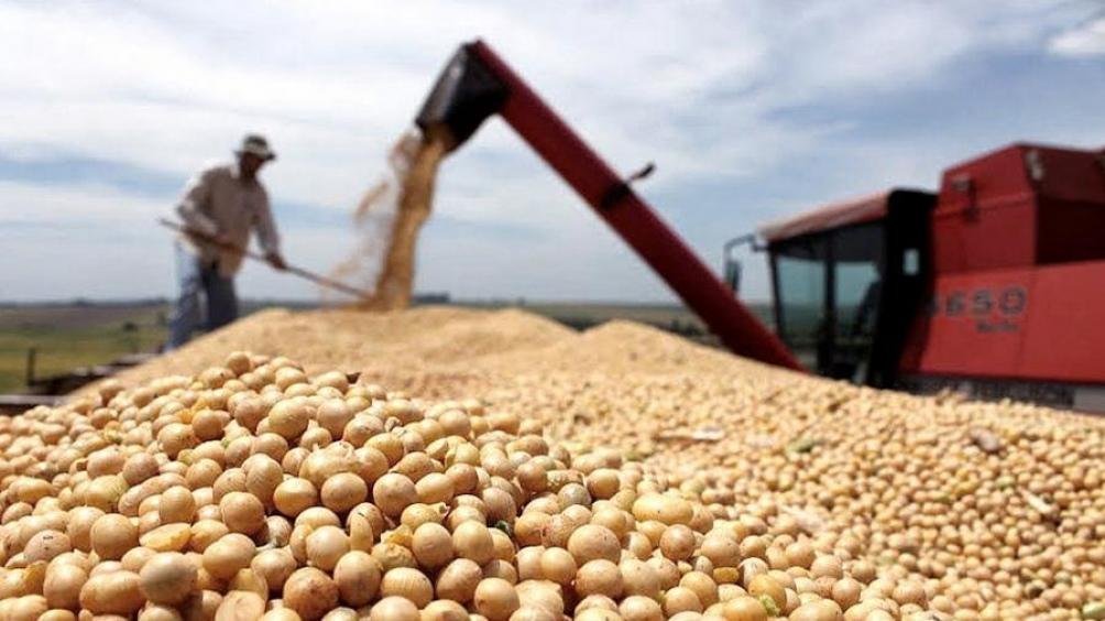 Viento de cola para la Argentina: el precio de la soja se dispara con récord