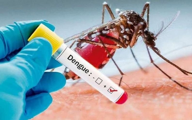 Operativo contra el Dengue