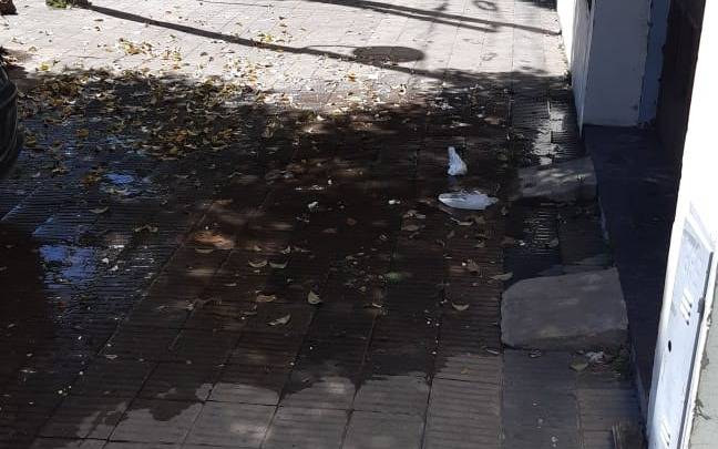 Tremendo brote de agua en vereda de 19 entre 61 y 62