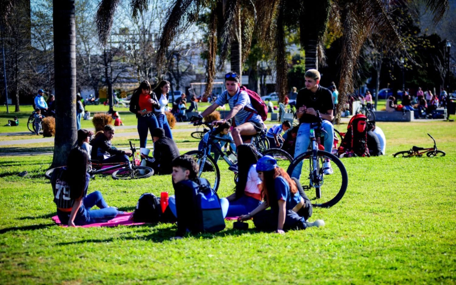 Aniversario de La Plata: el 19 de noviembre, ¿feriado, asueto o con actividad normal?