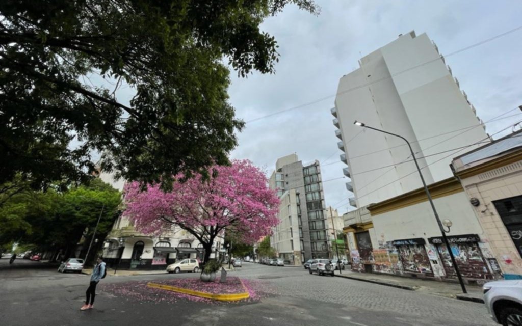 Sábado fresco, con leve ascenso de temperatura: cómo estará el clima en la Región
