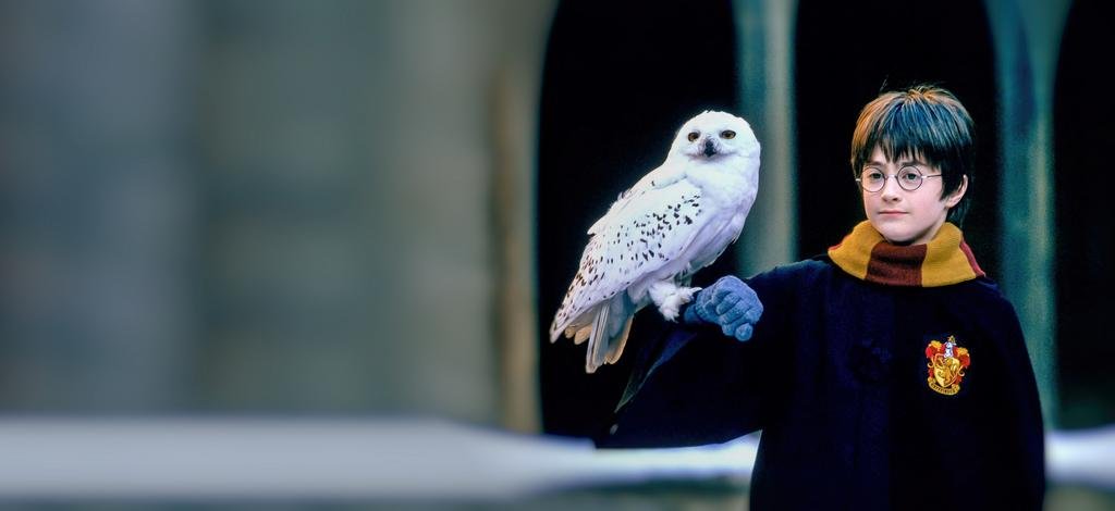 Harry Potter cumple 20 años: el mago más taquillero vuelve al cine