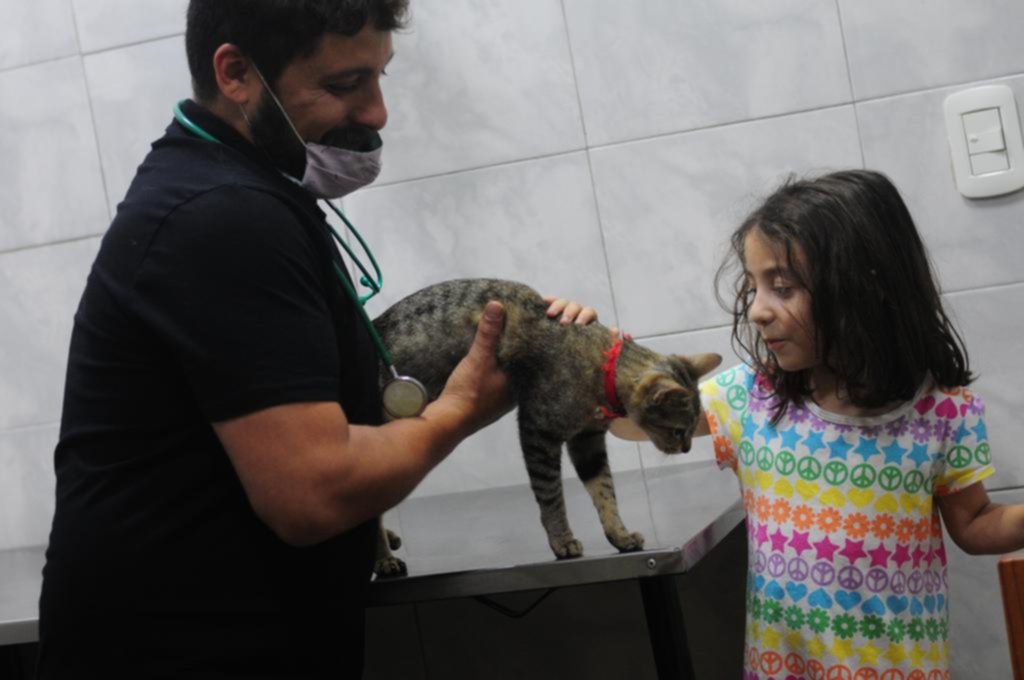 Profesión de “riesgo”: veterinarios denuncian violencia