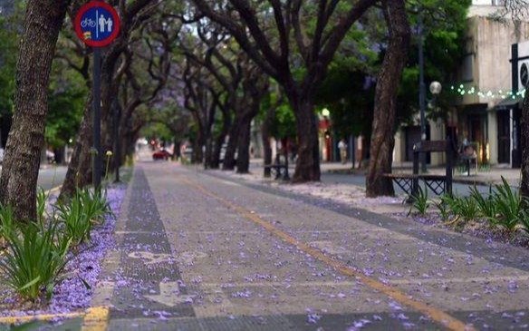 Sábado ventoso, algo nublado y con una máxima de 26º: ¿cómo estará el clima mañana, para ir a votar?