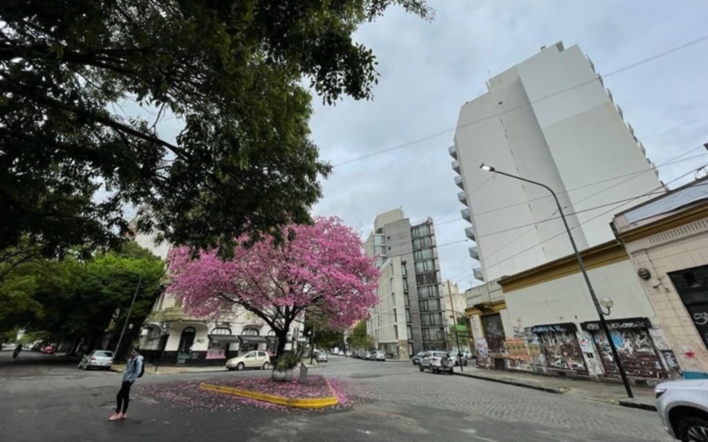 Tras el temporal de lluvia y ráfagas, así va a estar el clima para ir a votar en La Plata
