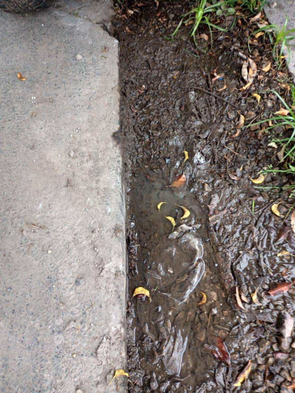 Una pérdida de agua deja sin servicio a un sector de Tolosa