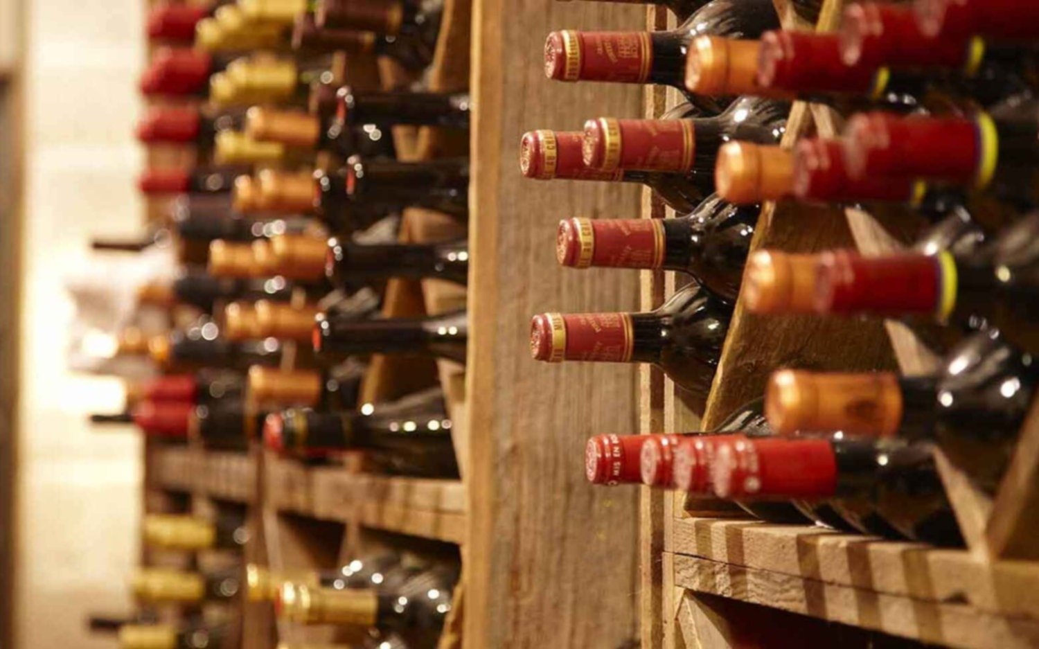 Preocupa la producción de botellas en el país y las bodegas le reclamaron al Gobierno