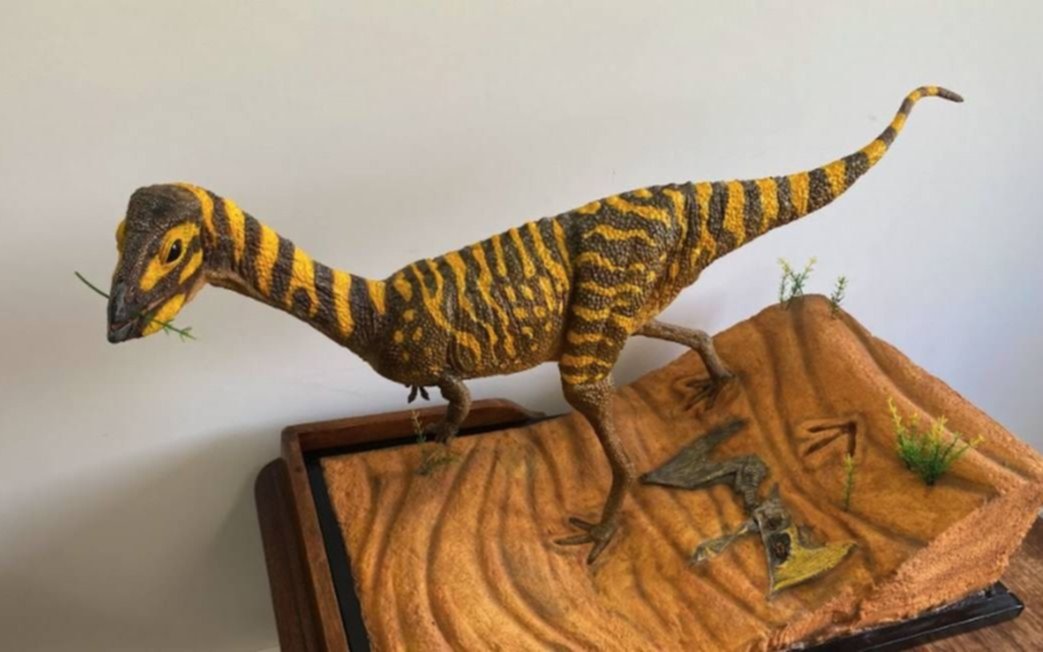 Descubren una nueva especie de dinosaurio "muy raro" en Brasil