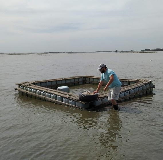 Acuicultura ecológica: investigadores platenses pueblan de pejerreyes las lagunas locales
