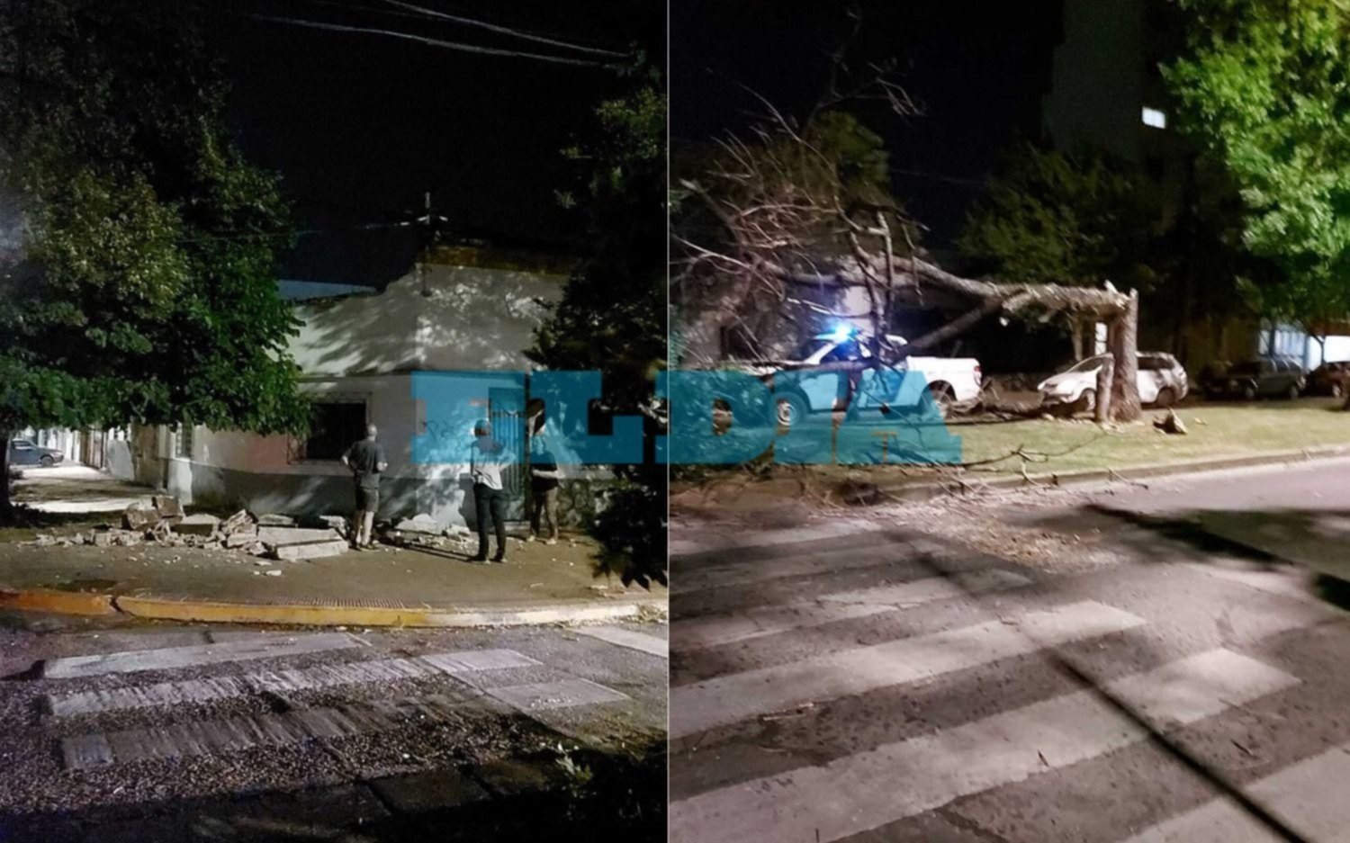 Cayó un árbol y destruyó la pared de una casa en 21 y 60: alertan por ráfagas de hasta 65 Km/h