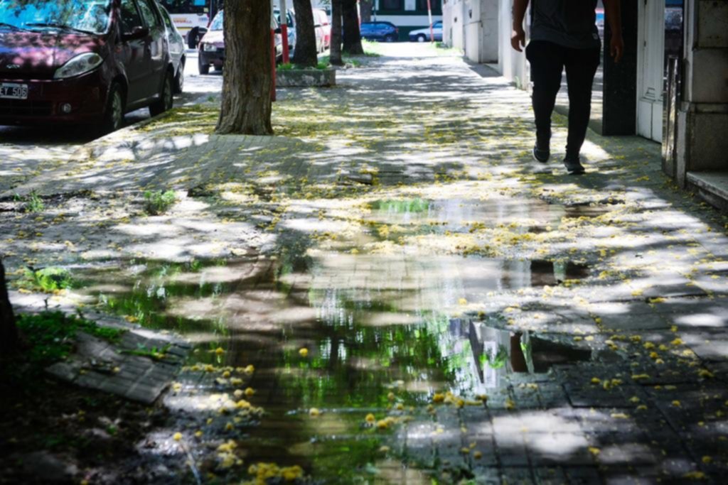 Un problema crónico: falta de agua y cañerías rotas