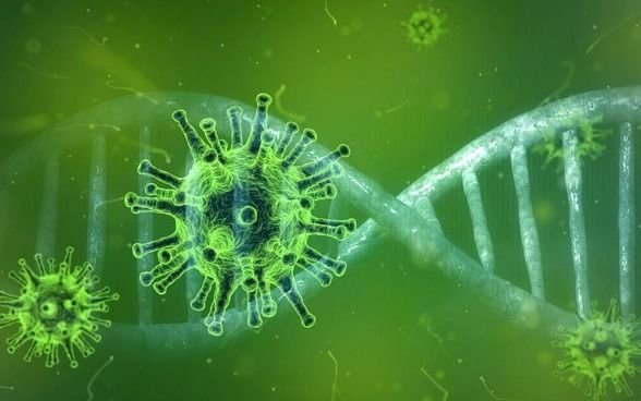 Preocupación: Sudáfrica detecta una nueva cepa del coronavirus con múltiples mutaciones