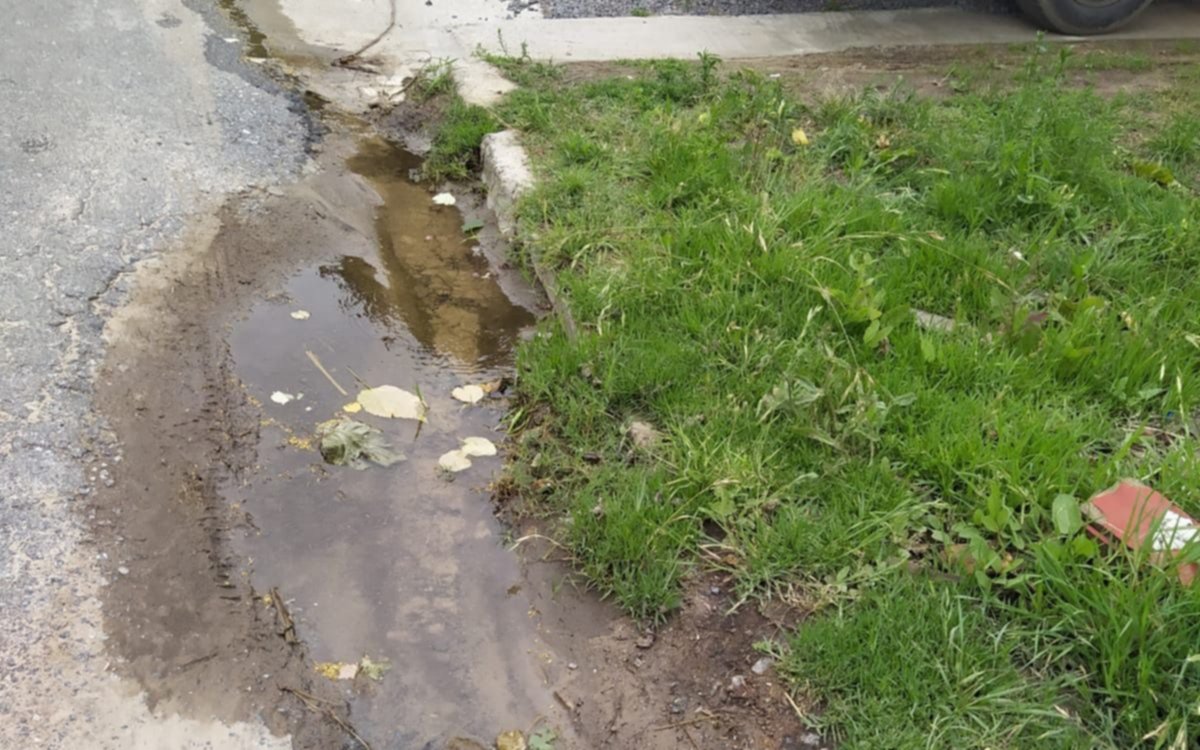 Gonnet: pérdida de agua, falta de servicio y de ABSA ni noticias