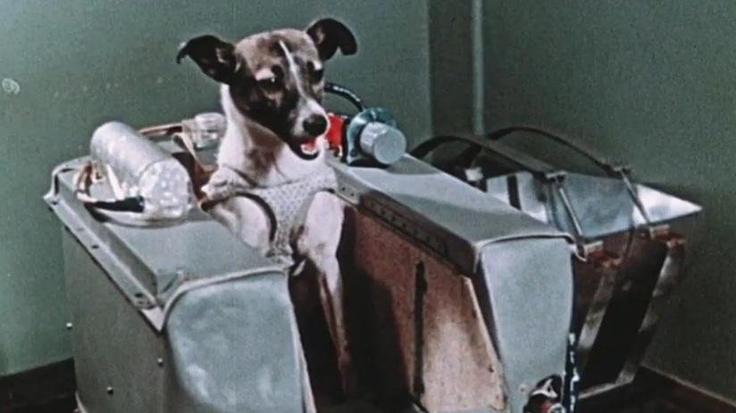 El recuerdo de Laika, la perra que fue al espacio