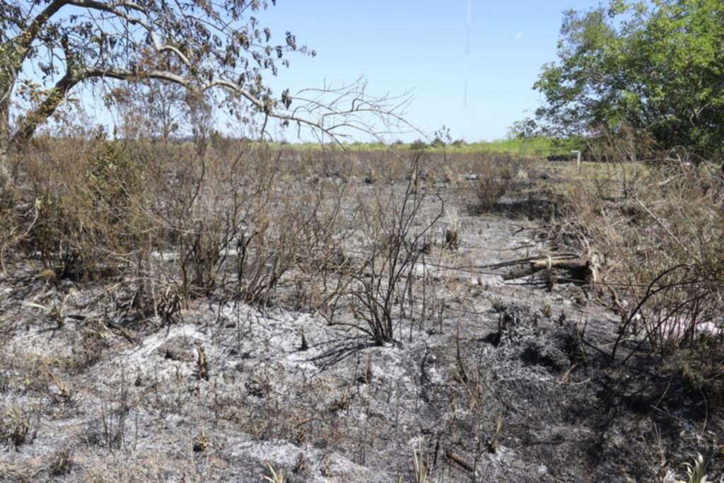 Sequía y calor, la combinación que alarma y complica a la producción