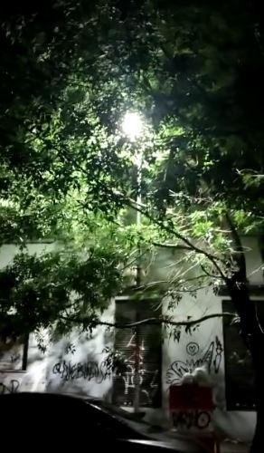 Pide por el despeje de ramas que tapan la luz