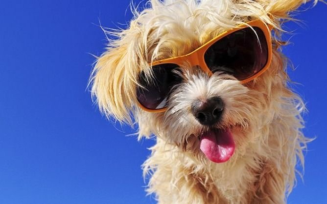 Se siente el calorcito: la temperatura alcanzará los 29 grados en la previa del fin de semana