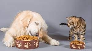 Por el cepo importador, peligra el abastecimiento de comida para mascotas