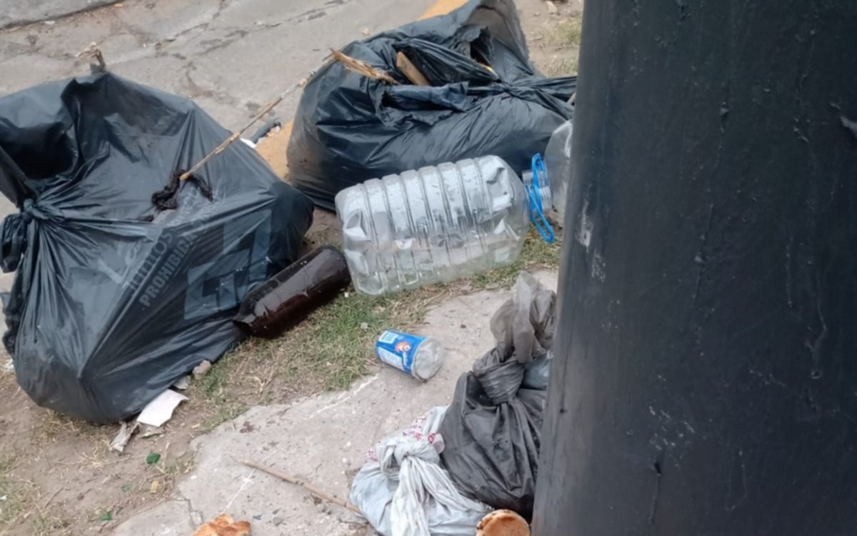 Vecinos de un barrio platense denuncian un basural en la puerta de un jardín