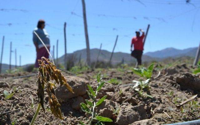 Tucumán, otra de las provincias que también había declarado un "déficit hídrico" por la sequía