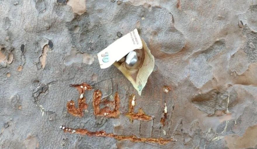 Vandalizaron el árbol de “cristal”