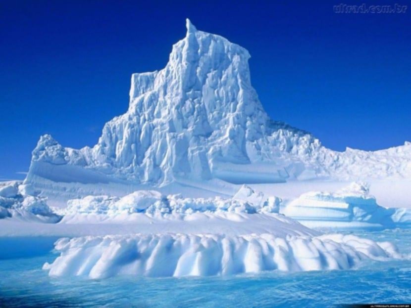 La Antártida, en peligro: el calentamiento global y la sobrepesca ponen en jaque al continente blanco