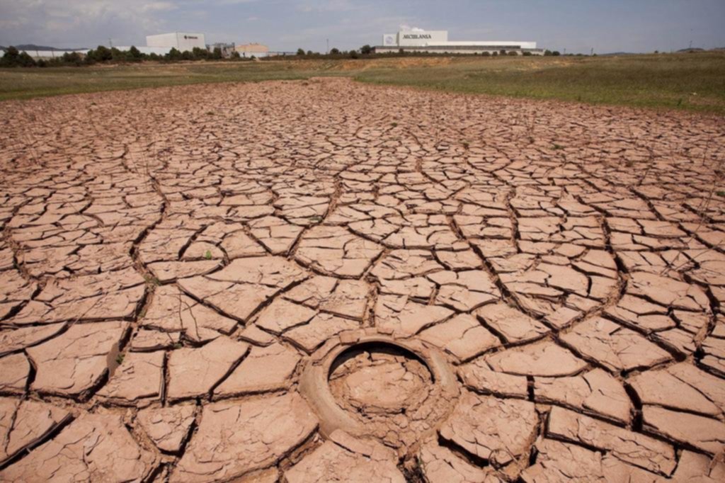 Los productores dejan de cosechar por la sequía