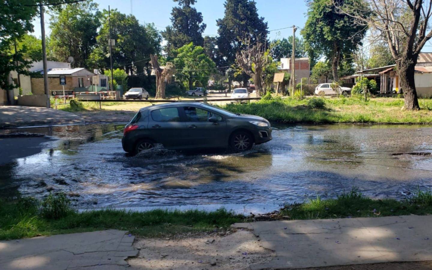 Estado de abandono en la zona del Bosque platense