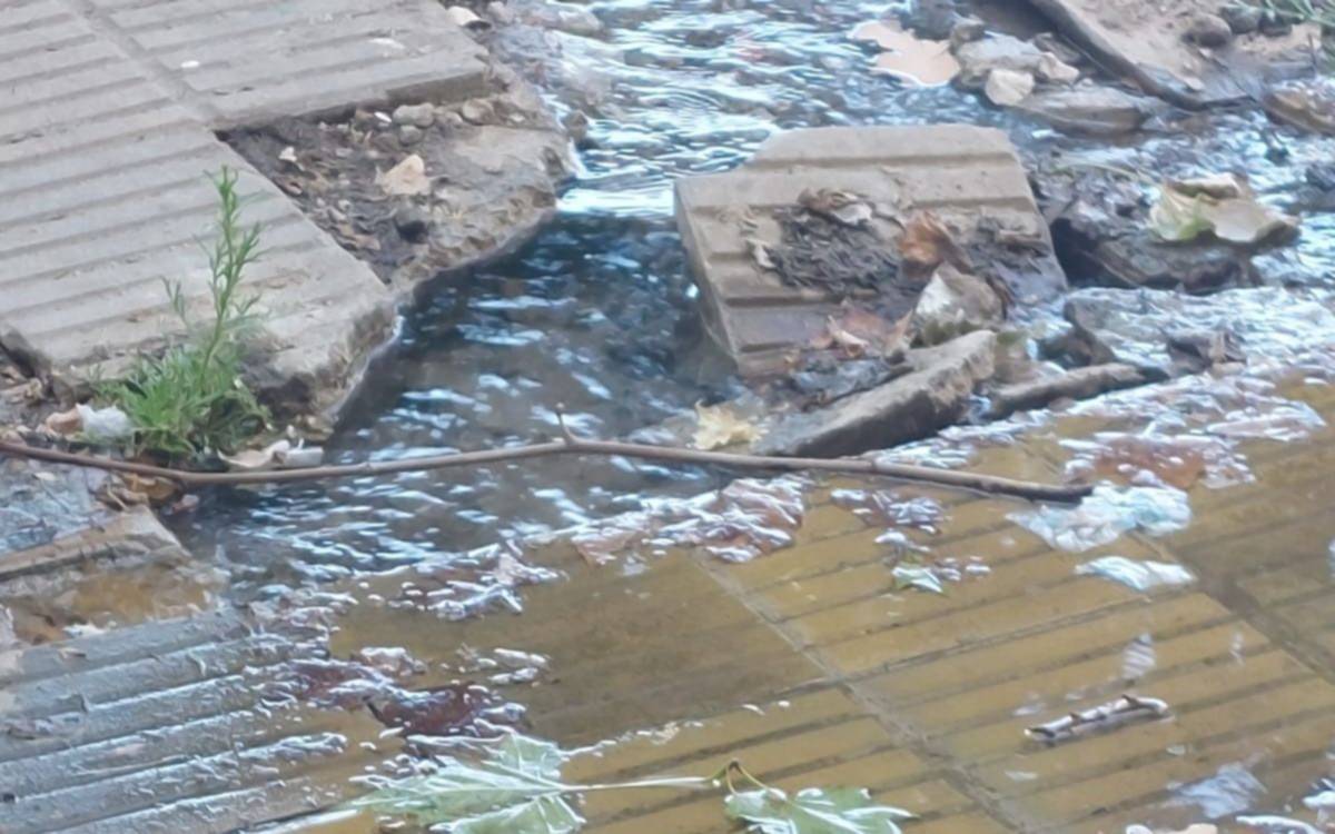 Pérdida de agua deja sin servicio a un barrio platense