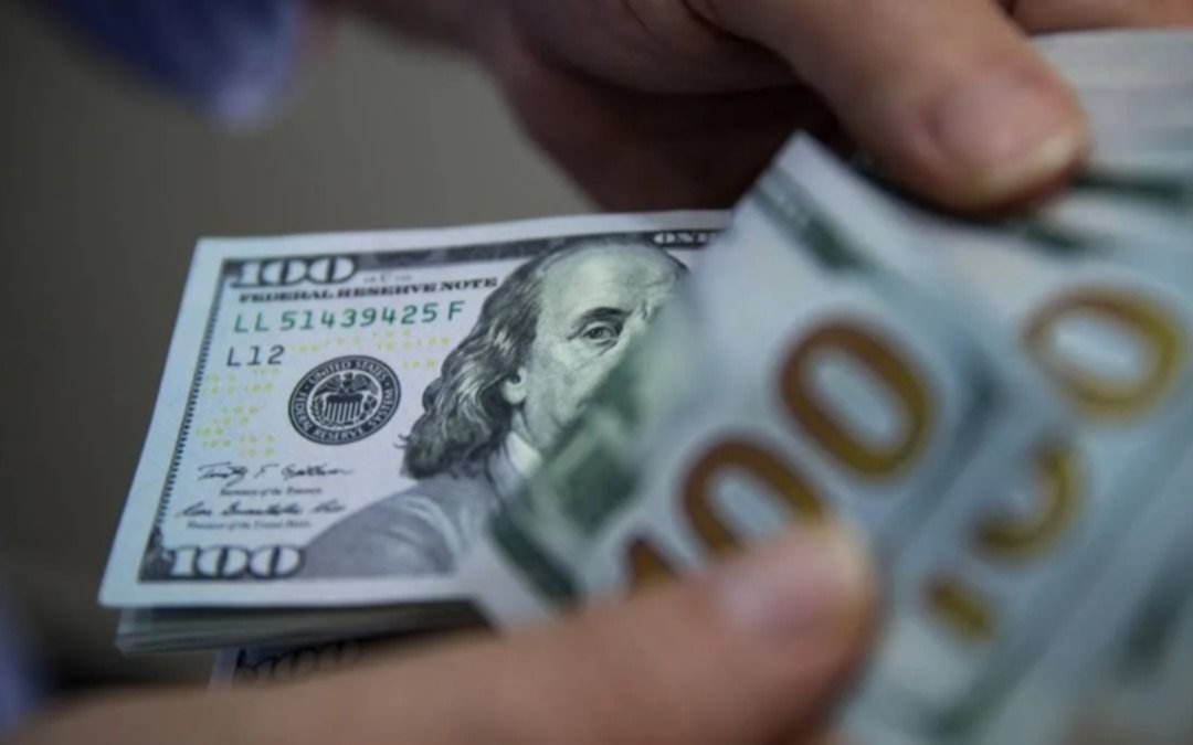 El BCRA realizó una fuerte compra de divisas tras la puesta en marcha del dólar soja