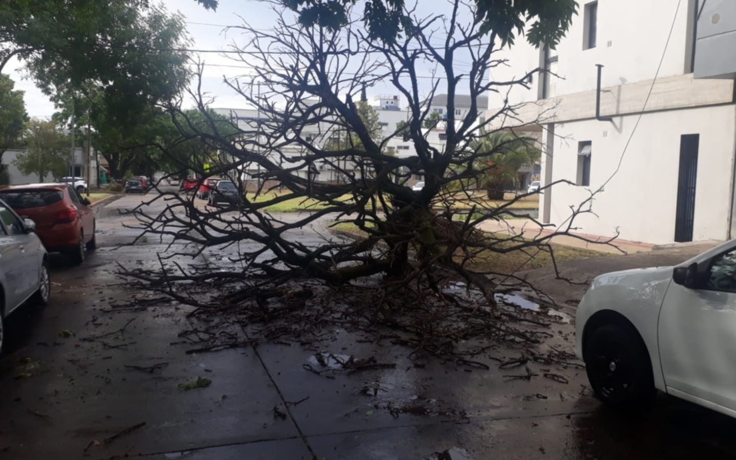 La tormenta dejó secuelas en la Ciudad: cesó el alerta amarillo y así sigue el pronóstico