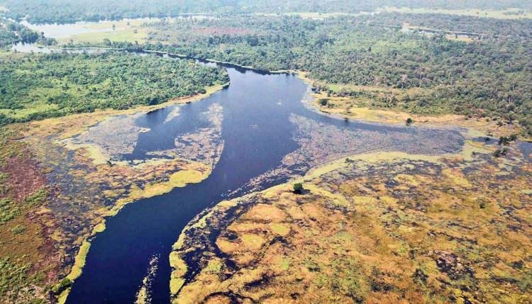 Descubren el río más oscuro del mundo, en el que no se refleja nada