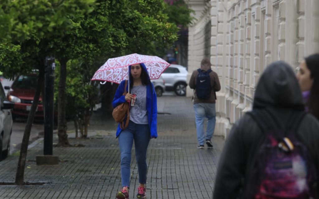 La Plata en imágenes: un “otoñito” inesperado
