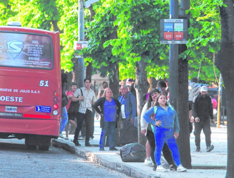 Largas esperas y colectivos llenos: viajar por la Ciudad en micro, una odisea