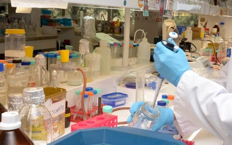 Bioquímicos cobrarán un "bono" de $3.000 a los afiliados de las prepagas