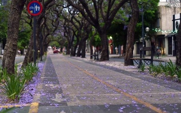 ¿Vuelven las lluvias?: así seguirá el clima en La Plata