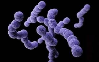 Alerta por una super bacteria: "Es preocupante el aumento de casos y, sobre todo, la letalidad"