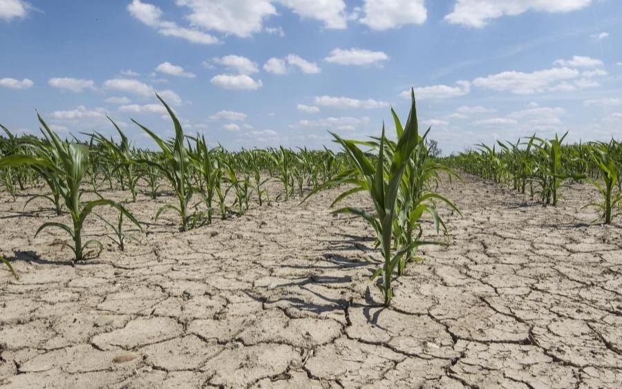 Científicos coinciden que 2023 será el más cálido de los últimos 125 mil años