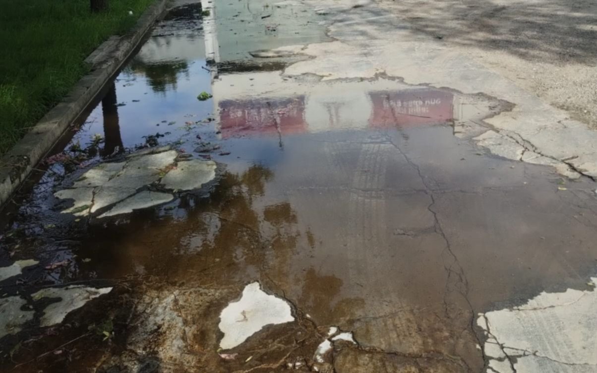 Una pérdida de agua preocupa a los vecinos de un barrio platense