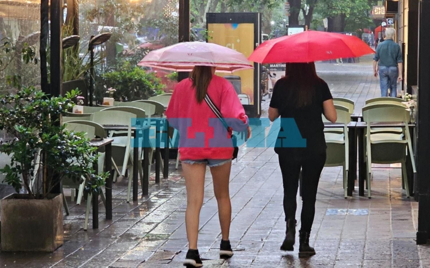 La Plata en alerta por el clima: a qué hora llegan las lluvias