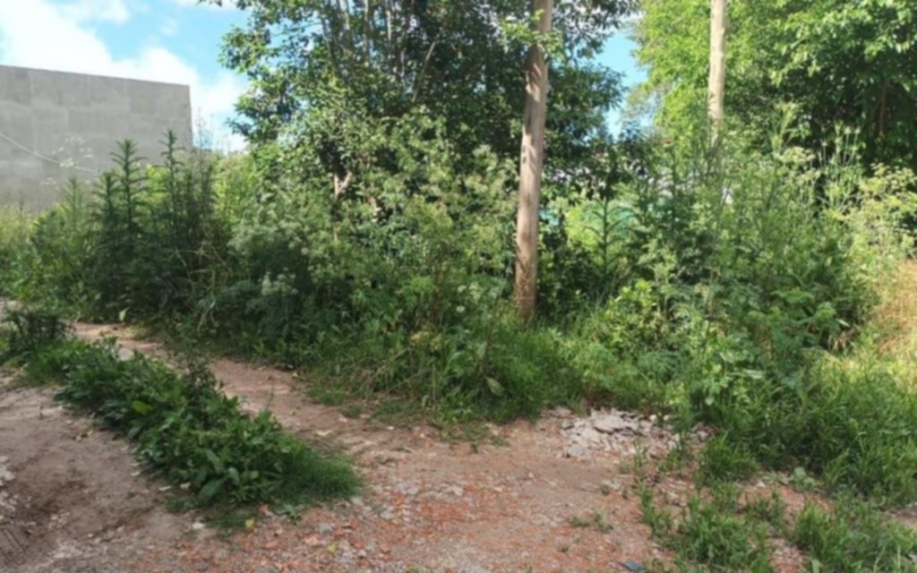 Sacó a pasear al perro y encontró a un hombre sin vida en un terreno baldío