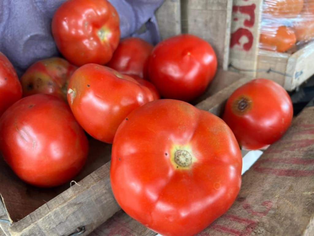 Se disparó el precio del tomate de la zona por un hongo y la gran demanda