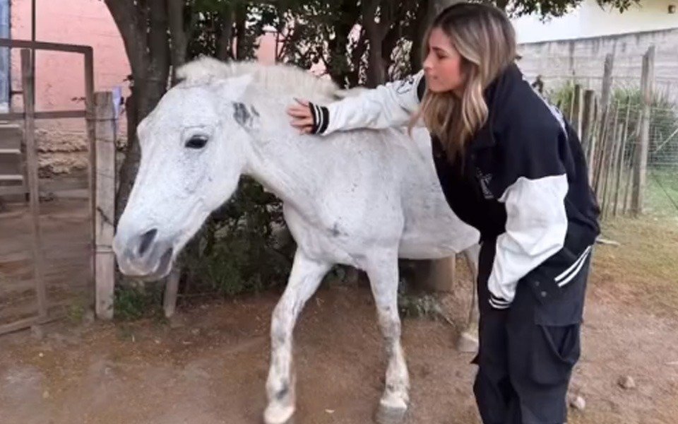 VIDEO. Julieta Poggio estuvo de visita en un campo de Tucumán y por un blooper casi termina en el hospital
