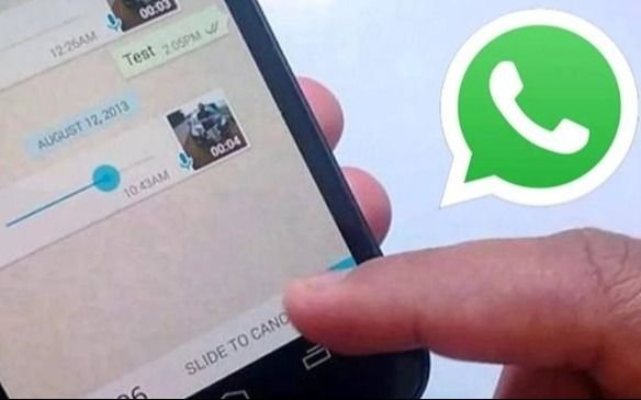 Se actualizó WhatsApp: envío de archivos más pesados y grupos más numerosos, entre las novedades