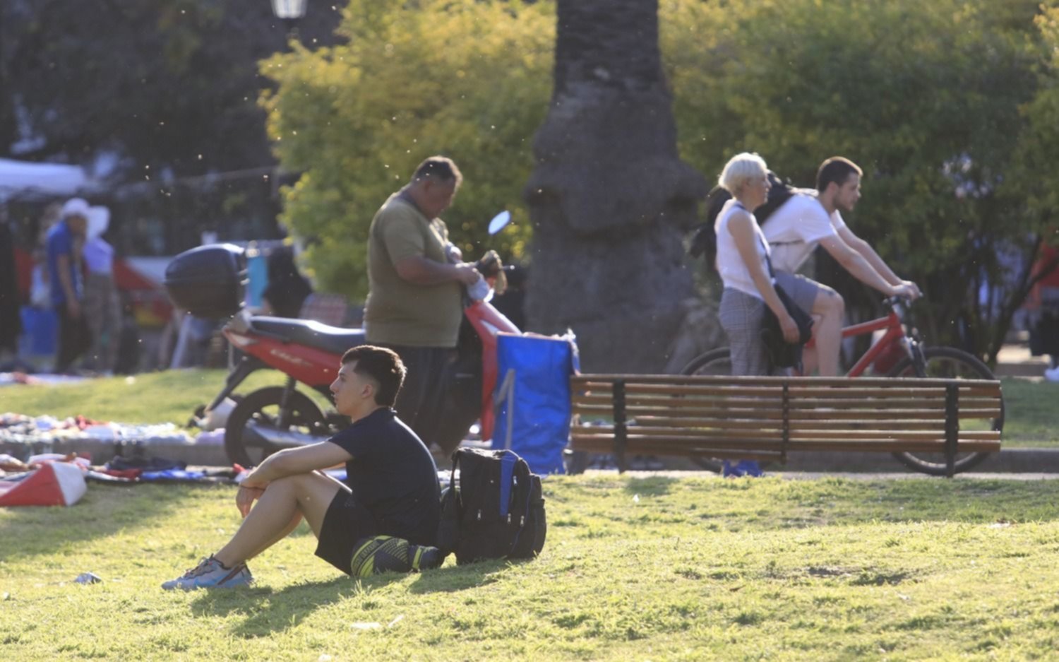 Calor extremo en Sudamérica: cómo impactará este verano en Argentina