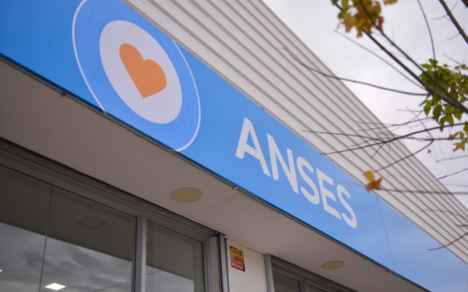 Anses cuándo cobro: el calendario de pagos de AUH, jubilaciones, PNC, Desempleo, Tarjeta Alimentar y más de este viernes 17 de noviembre de 2023