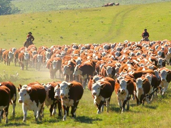 Uruguay y el préstamo a cambio de reducir sus emisiones de metano