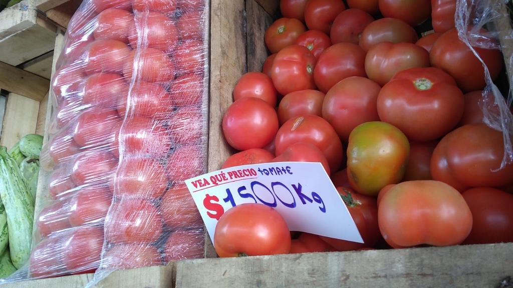 ¿El tomate pisa el freno?: esta semana podría caer el precio