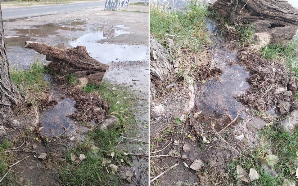 Vecinos de un sector de San Carlos sin servicio por una importante pérdida de agua